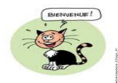 Welcome!